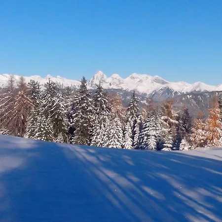 Wiesenhof 2*